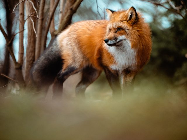 Fotografie von Sebastian Haas, Fotograf Kiel | Tourismus (1)